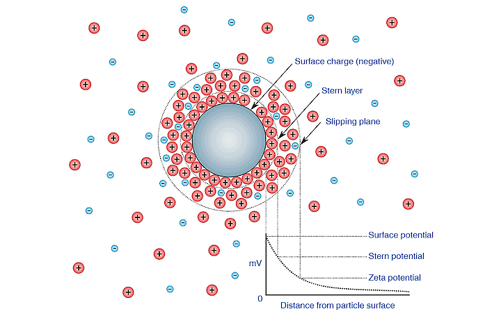 zeta potential